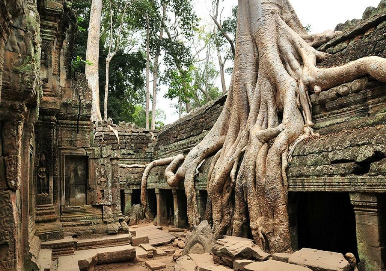 Anachak Angkor Residence Siem Reap Exteriör bild